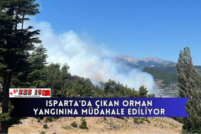 Isparta'da Çıkan Orman Yangınına Müdahale Ediliyor