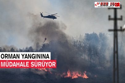 Orman Yangınına Müdahale Sürüyor