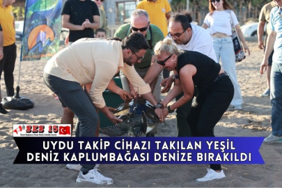 Uydu Takip Cihazı Takılan Yeşil Deniz Kaplumbağası Denize Bırakıldı