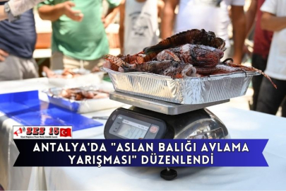 Antalya'da "Aslan Balığı Avlama Yarışması" Düzenlendi
