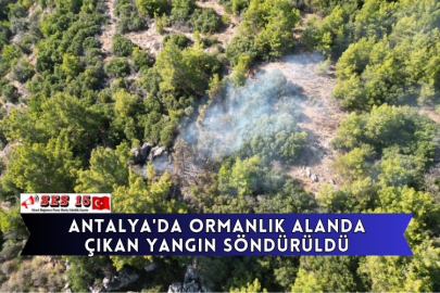 Antalya'da Ormanlık Alanda Çıkan Yangın Söndürüldü