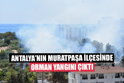 Antalya'nın Muratpaşa İlçesinde Orman Yangını Çıktı