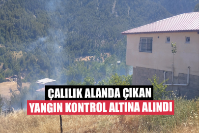 Çalılık Alanda Çıkan Yangın Kontrol Altına Alındı