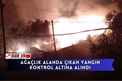 Ağaçlık Alanda Çıkan Yangın Kontrol Altına Alındı