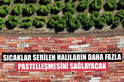 Kavurucu Sıcaklar, Tarlalara Serilen Halıların Daha Fazla Pastelleşmesini Sağlayacak