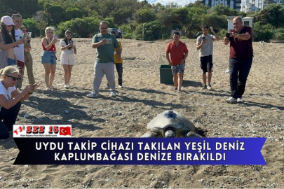 Uydu Takip Cihazı Takılan Yeşil Deniz Kaplumbağası Denize Bırakıldı