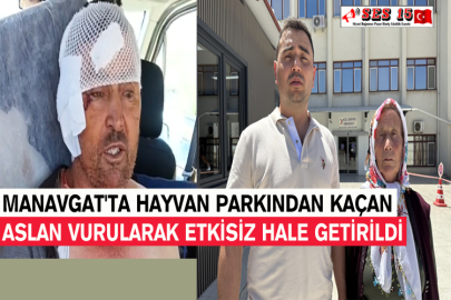 Manavgat'ta Hayvan Parkından Kaçan Aslan Vurularak Etkisiz Hale Getirildi