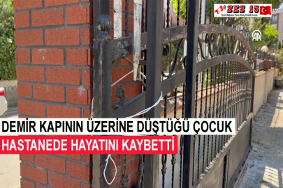 Demir Kapının Üzerine Düştüğü Çocuk Hastanede Hayatını Kaybetti