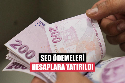 SED Ödemeleri Hesaplara Yatırıldı