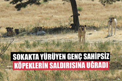 Sokakta Yürüyen Genç Sahipsiz Köpeklerin Saldırısına Uğradı