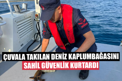 Çuvala Takılan Deniz Kaplumbağasını Sahil Güvenlik Kurtardı