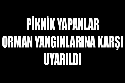 Piknik Yapanlar Orman Yangınlarına Karşı Uyarıldı