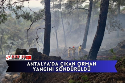 Antalya'da Çıkan Orman Yangını Söndürüldü