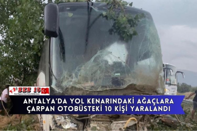 Antalya'da Yol Kenarındaki Ağaçlara Çarpan Otobüsteki 10 Kişi Yaralandı