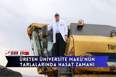 Üreten Üniversite MAKÜ’nün Tarlalarında Hasat Zamanı
