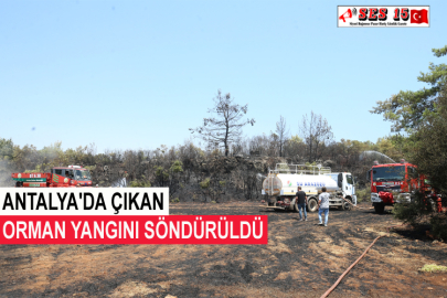 Antalya'da Çıkan Orman Yangını Söndürüldü