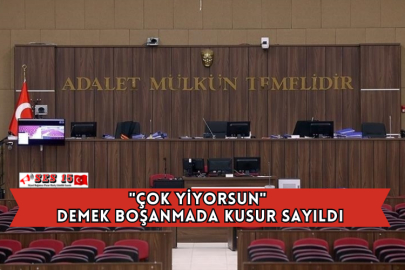 "Çok Yiyorsun" Demek Boşanmada Kusur Sayıldı