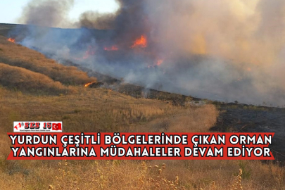 Yurdun Çeşitli Bölgelerinde Çıkan Orman Yangınlarına Müdahaleler Devam Ediyor