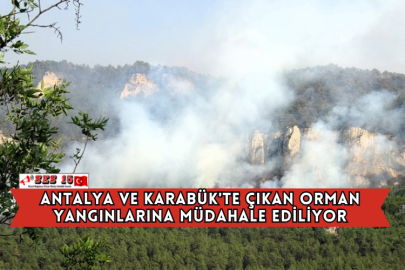 Antalya ve Karabük'te Çıkan Orman Yangınlarına Müdahale Ediliyor