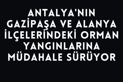 Antalya'nın Gazipaşa ve Alanya İlçelerindeki Orman Yangınlarına Müdahale Sürüyor