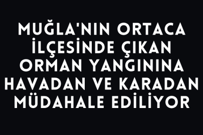 Muğla'nın Ortaca İlçesinde Çıkan Orman Yangınına Havadan ve Karadan Müdahale Ediliyor