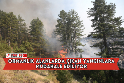 Ormanlık Alanlarda Çıkan Yangınlara Müdahale Ediliyor