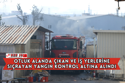 Otluk Alanda Çıkan Ve İş Yerlerine Sıçrayan Yangın Kontrol Altına Alındı