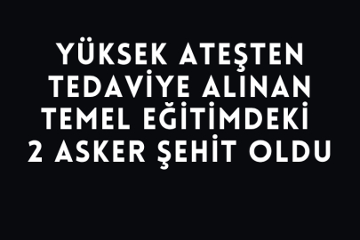 Yüksek Ateşten Tedaviye Alınan Temel Eğitimdeki 2 Asker Şehit Oldu