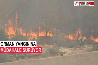 Orman Yangınına Müdahale Sürüyor