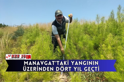 Manavgat'taki Yangının Üzerinden Dört Yıl Geçti