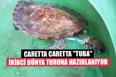 Caretta Caretta "Tuba" İkinci Dünya Turuna Hazırlanıyor