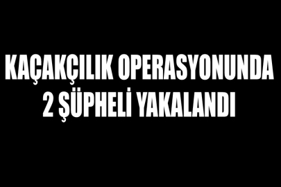 Kaçakçılık Operasyonunda 2 Şüpheli Yakalandı