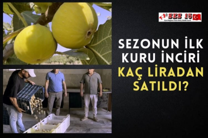 Sezonun İlk Kuru İnciri Kaç Liradan Satıldı?