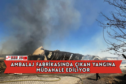Ambalaj Fabrikasında Çıkan Yangına Müdahale Ediliyor