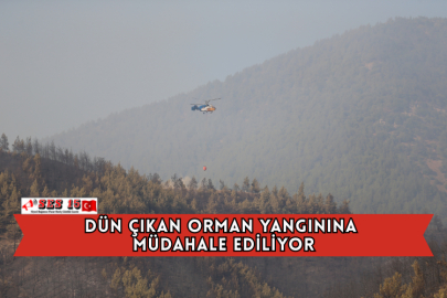 Dün Çıkan Orman Yangınına Müdahale Ediliyor