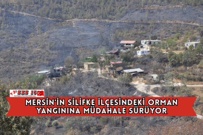 Mersin'in Silifke İlçesindeki Orman Yangınına Müdahale Sürüyor