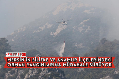 Mersin’in Silifke ve Anamur İlçelerindeki Orman Yangınlarına Müdahale Sürüyor