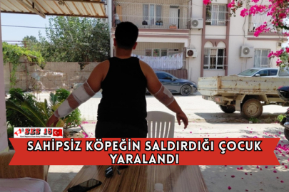 Sahipsiz Köpeğin Saldırdığı Çocuk Yaralandı