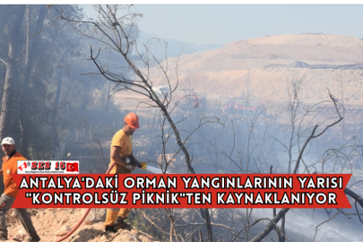 Antalya'daki Orman Yangınlarının Yarısı "Kontrolsüz Piknik"ten Kaynaklanıyor