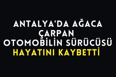 Antalya'da Ağaca Çarpan Otomobilin Sürücüsü Hayatını Kaybetti