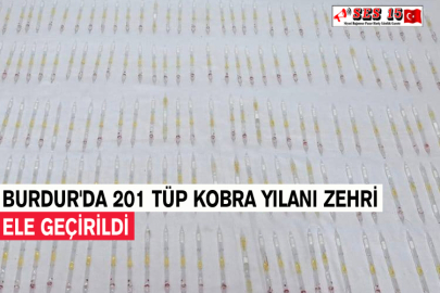 Burdur'da 201 Tüp Kobra Yılanı Zehri Ele Geçirildi