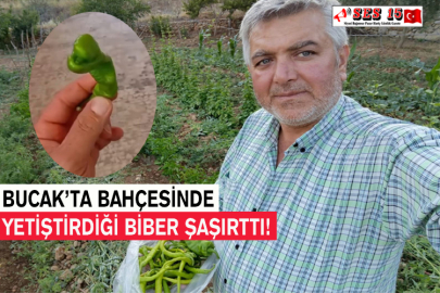 Bucak’ta Bahçesinde Yetiştirdiği Biber Şaşırttı!