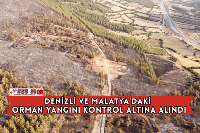 Denizli ve Malatya'daki Orman Yangını Kontrol Altına Alındı