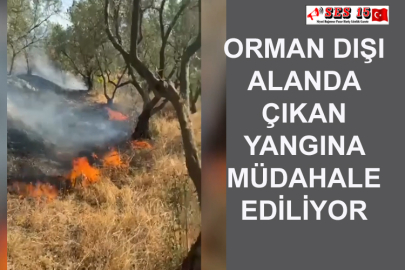 Orman Dışı Alanda Çıkan Yangına Müdahale Ediliyor