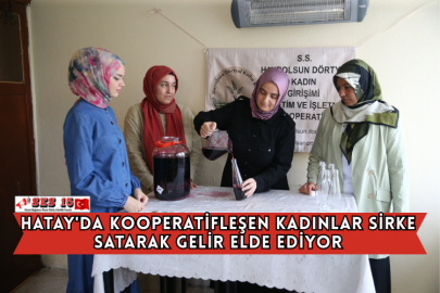 Kooperatifleşen Kadınlar Sirke Satarak Gelir Elde Ediyor