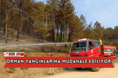 Orman Yangınlarına Müdahale Ediliyor