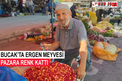 Bucak’ta Ergen Meyvesi Pazara Renk Kattı