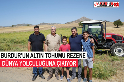 Burdur’un Altın Tohumu Rezene Dünya Yolculuğuna Çıkıyor