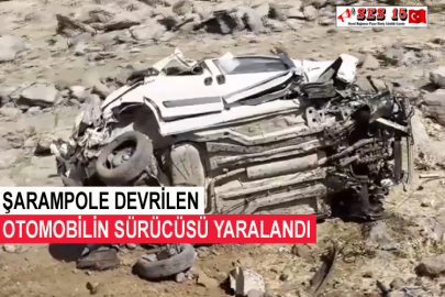 Şarampole Devrilen Otomobilin Sürücüsü Yaralandı