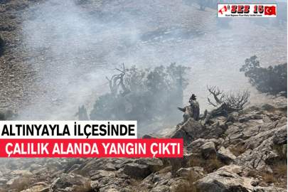 Altınyayla İlçesinde Çalılık Alanda Yangın Çıktı